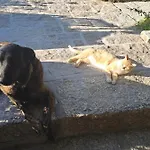 Orange Olives - Quinta Chao De Galizes شقة