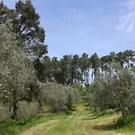 Orange Olives - Quinta Chao De Galizes شقة
