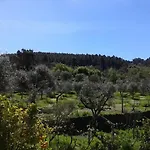 Orange Olives - Quinta Chao De Galizes شقة