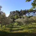 Orange Olives - Quinta Chao De Galizes شقة *
