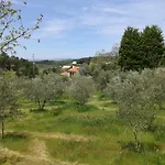 Orange Olives - Quinta Chao De Galizes