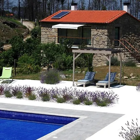 Orange Olives - Quinta Chao De Galizes