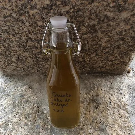 Orange Olives - Quinta Chao De Galizes