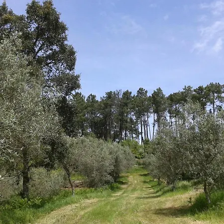 Orange Olives - Quinta Chao De Galizes Appartement