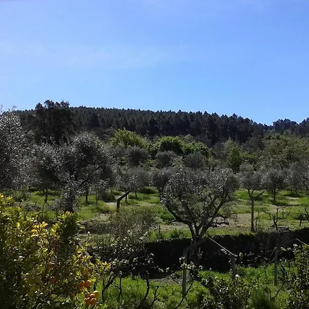 Orange Olives - Quinta Chao De Galizes Appartement