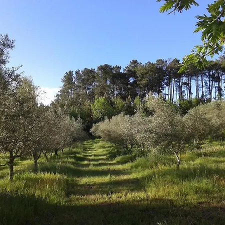 Orange Olives - Quinta Chao De Galizes Appartement *