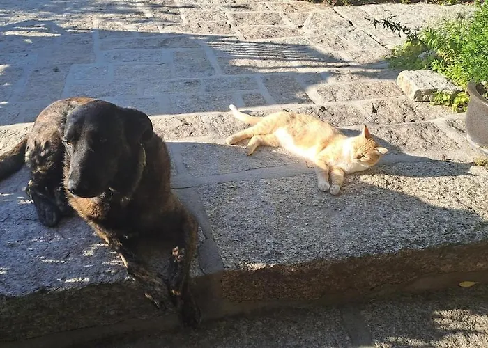 Orange Olives - Quinta Chao De Galizes Apartamento