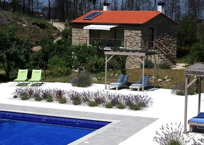 Orange Olives - Quinta Chao De Galizes