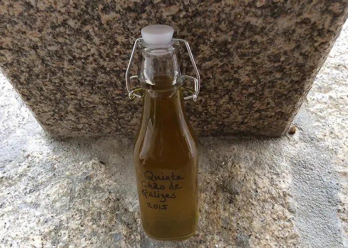 Orange Olives - Quinta Chao De Galizes