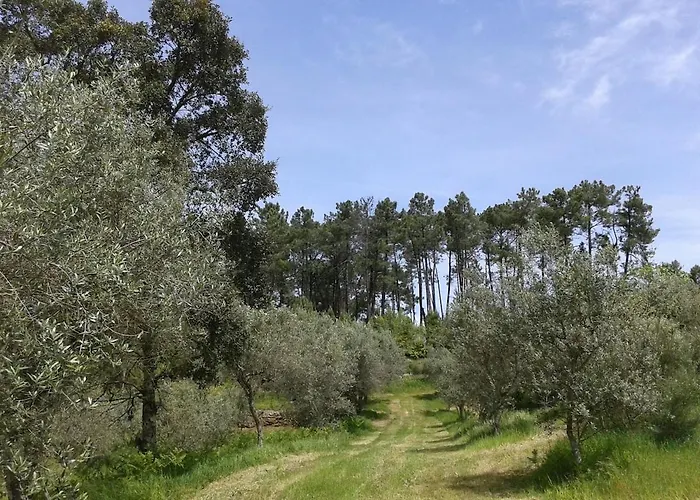 Orange Olives - Quinta Chao De Galizes Appartement