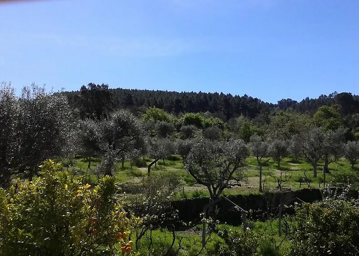Orange Olives - Quinta Chao De Galizes Appartement