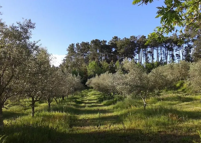 Orange Olives - Quinta Chao De Galizes Appartement *