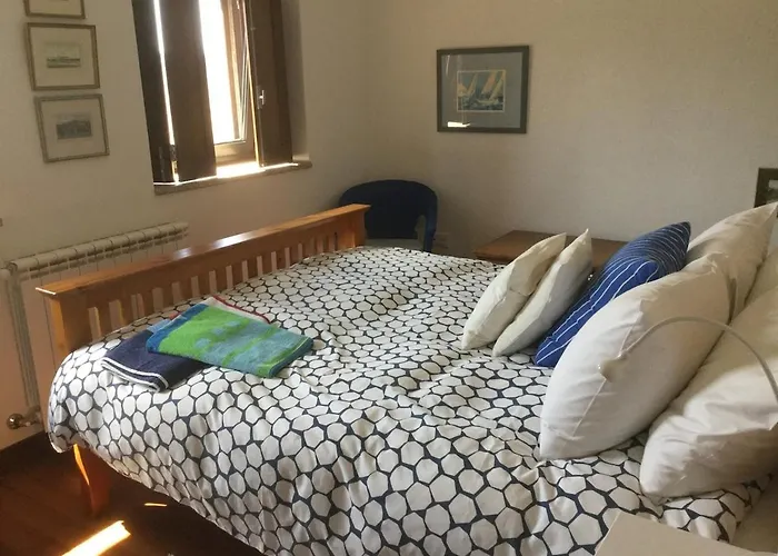 Orange Olives - Quinta Chao De Galizes *