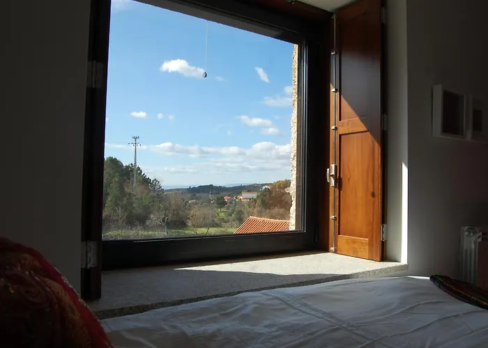 Orange Olives - Quinta Chao De Galizes *