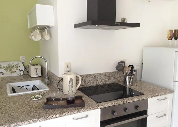 Orange Olives - Quinta Chao De Galizes Oliveira do Hospital