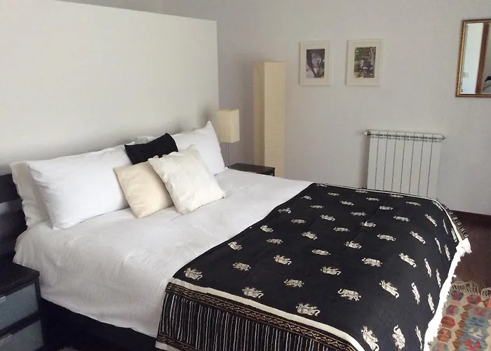 Orange Olives - Quinta Chao De Galizes