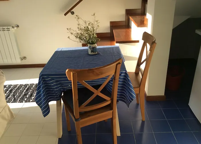 Orange Olives - Quinta Chao De Galizes Apartamento